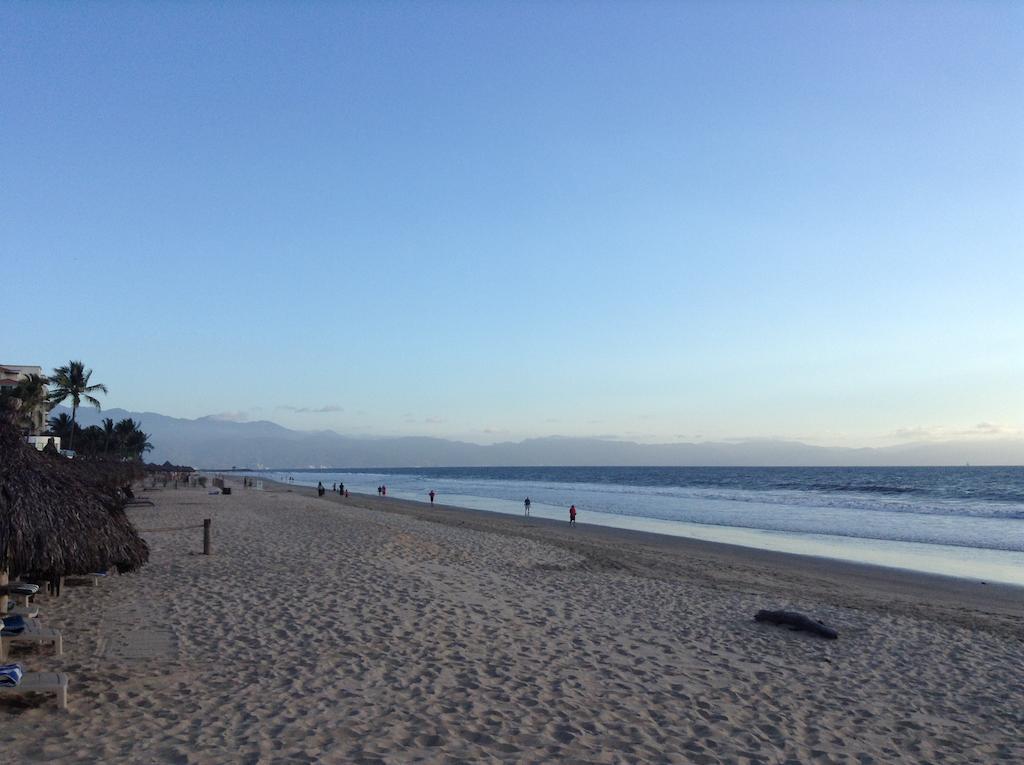 Bahia Del Sol Lejlighedshotel Nuevo Vallarta Eksteriør billede